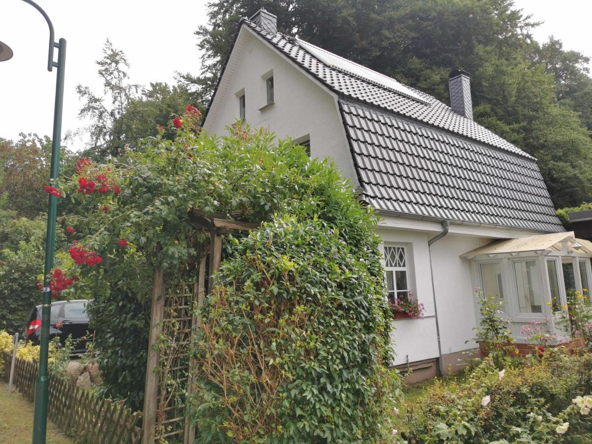 Ferienwohnung Rügen Fewo 91 Buchenwinkel Bergen Auf Rugen Exterior foto